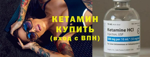 крисы Каменногорск