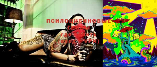 крисы Каменногорск