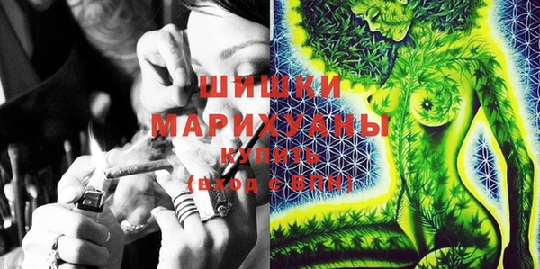 крисы Каменногорск