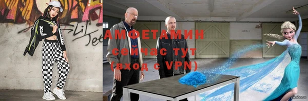 крисы Каменногорск