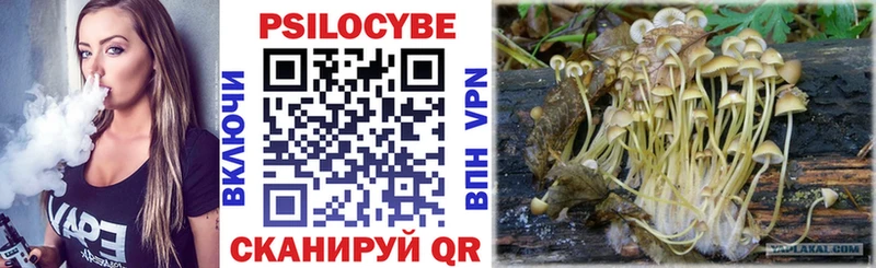 Купить  Болгар  Псилоцибиновые грибы Psilocybine cubensis 